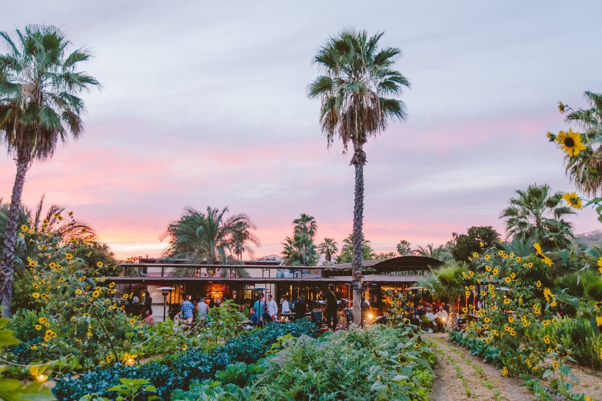 Flora's Field Kitchen from a distance.jpg